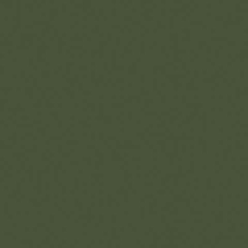 Mission Models MMP-028 Water-Based Acrylic Paint 1oz 29.6ml, MMP-028 Russian Dark Olive FS 34102